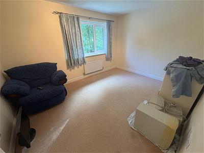 Picture 15